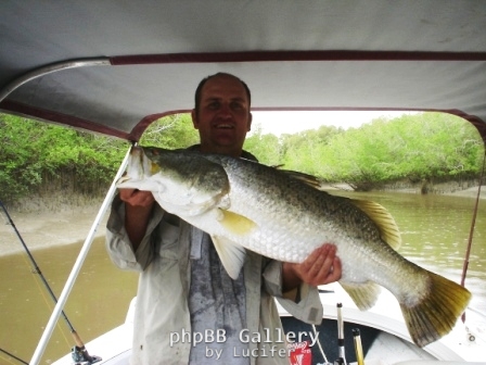 Shady barra