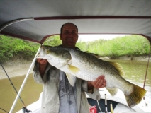 Shady barra