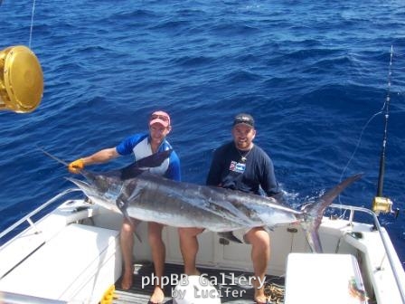 Striped marlin