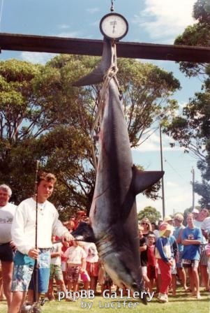 Mad Mako 1990