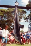 Mad Mako 1990