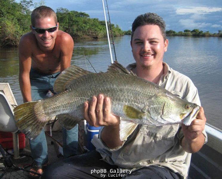 Gracie's run-off barra