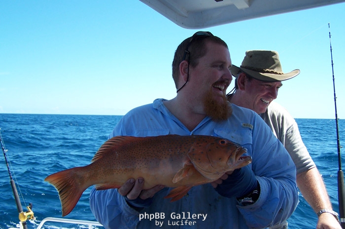 dundee trout