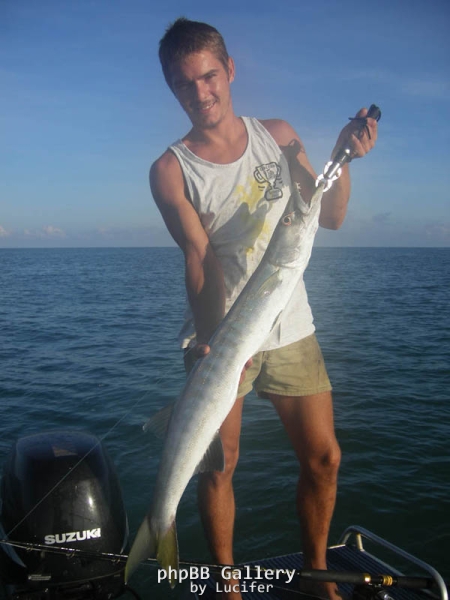 Barracuda!