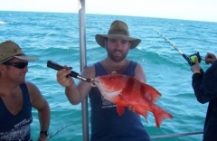 Red Emperor