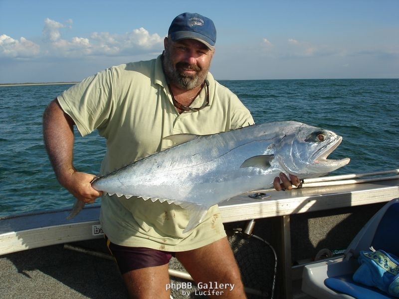 Queenfish at Dundee