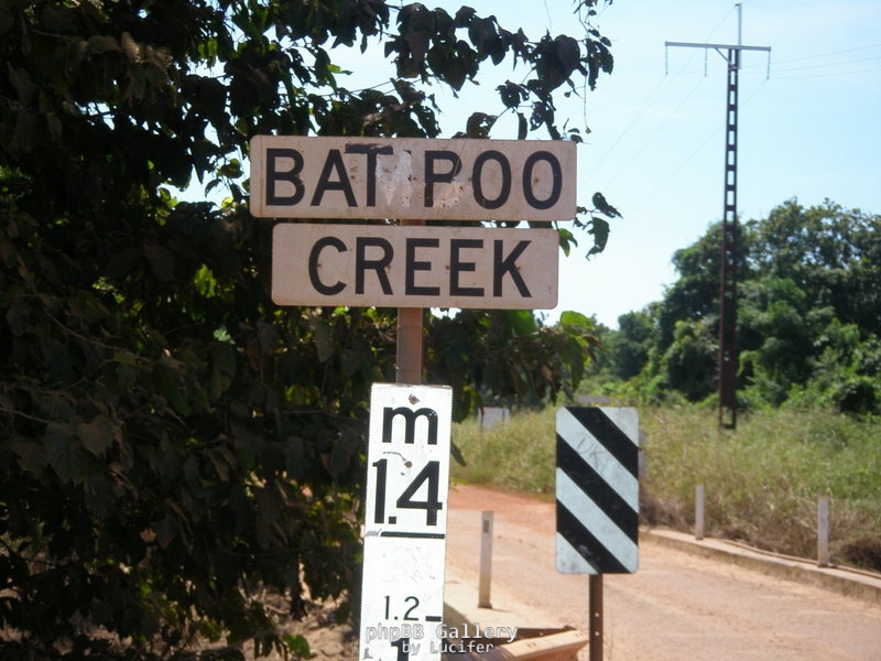 Bamboo Creek?