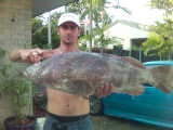 big cod 9kg