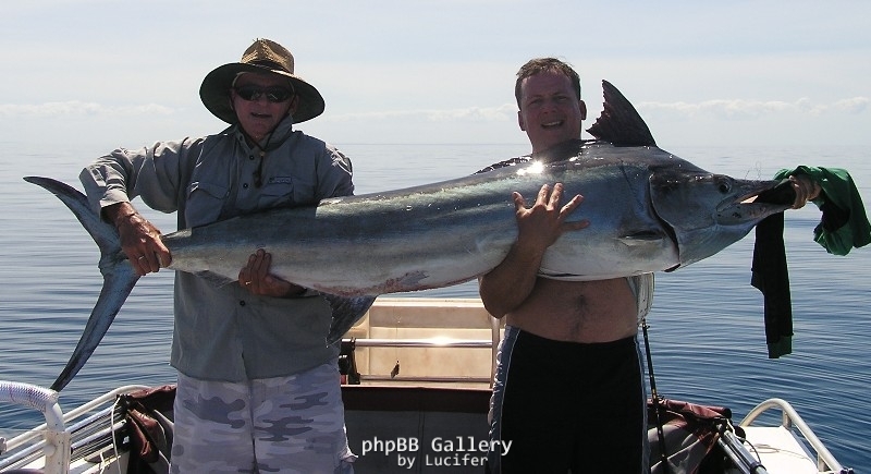 2.5m marlin