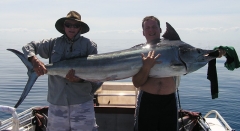 2.5m marlin