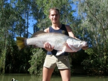 Adelaide river